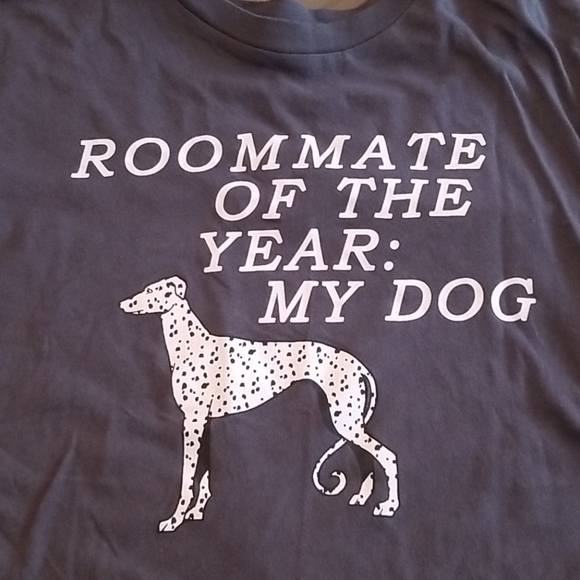 Wildfox Roommate keke tee - Picture 2 of 7